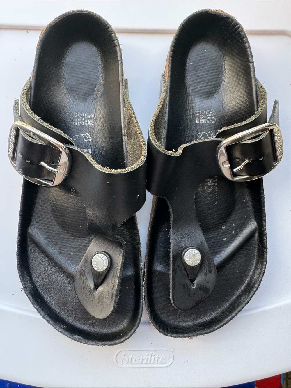 Black Thong Sandals with Silver Buckles